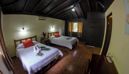 Habitación doble superior, 2 camas dobles