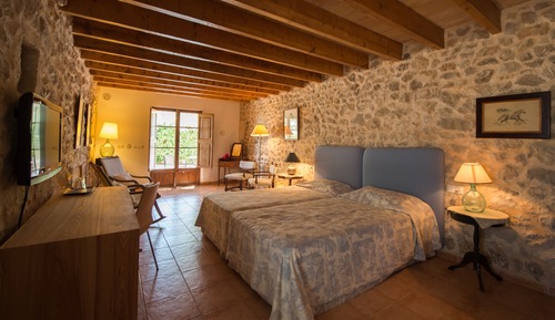 Suite junior