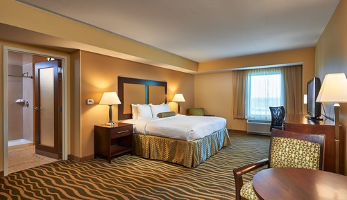 Suite ejecutiva, 1 cama de matrimonio grande, no fumadores