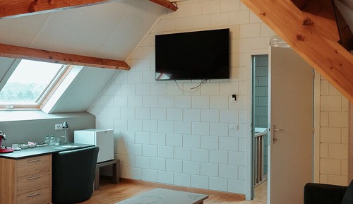 Suite junior