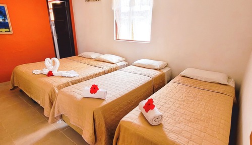 Habitación cuádruple estándar