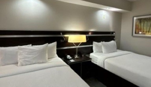 Habitación, 2 camas de matrimonio, no fumadores