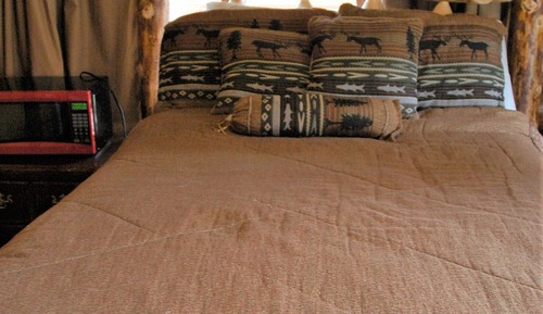 Fir Log Cabin