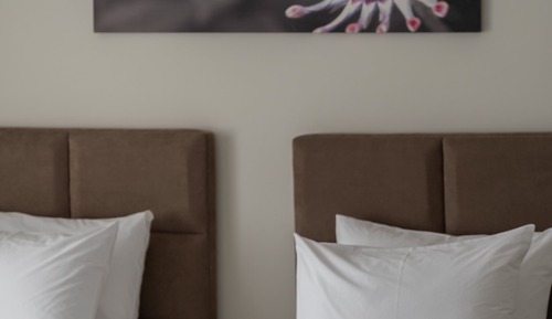 Habitación estándar con 2 camas individuales