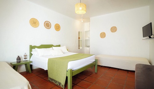 Suite estándar (Bromélias)