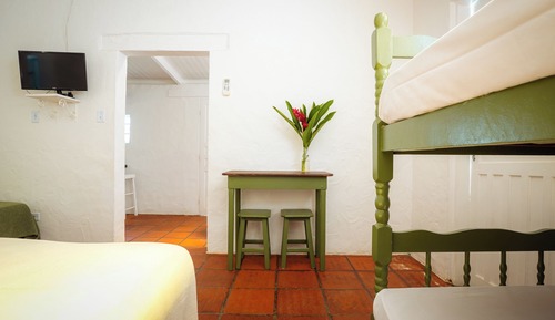 Suite familiar (Bromélias)