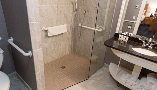 Habitación Deluxe, 1 cama de matrimonio grande (Roll-In Shower)