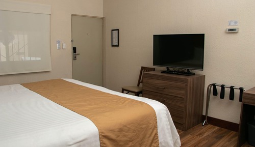 Habitación estándar, 1 cama de matrimonio grande, no fumadores