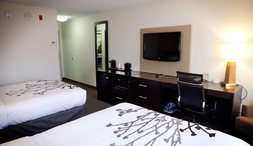 Habitación, 2 camas de matrimonio, accesible para personas con discapacidad, no fumadores