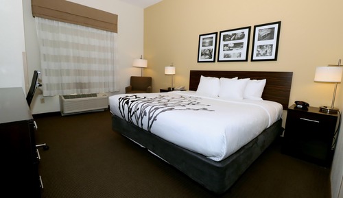 Habitación, 1 cama de matrimonio grande, accesible para personas con discapacidad, no fumadores