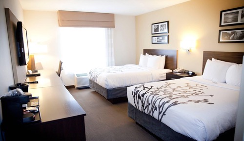 Habitación estándar, 2 camas de matrimonio, no fumadores
