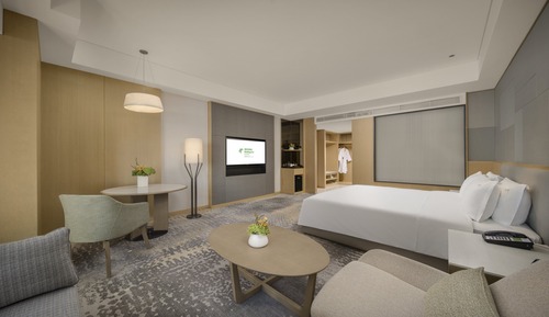 Habitación Premium, 1 cama de matrimonio grande, vistas a la ciudad