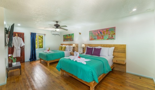 Standard Double Rooms
