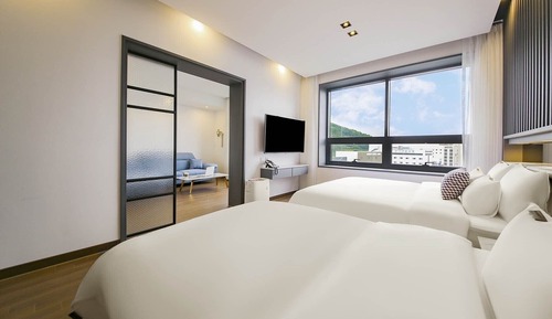 Suite estudio Premium