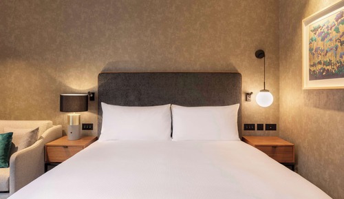 Suite estudio ejecutiva, 1 cama de matrimonio grande con sofá cama