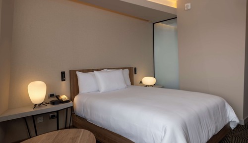 Habitación, 1 cama de matrimonio (Mobility & Hearing, Roll-In Shower)