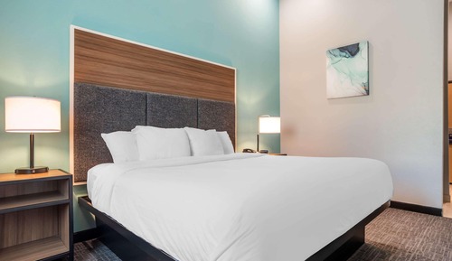 Habitación estándar, 1 cama de matrimonio grande, no fumadores