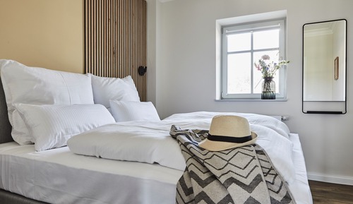 Suite superior (incl. 115 € Cleaning Fee)