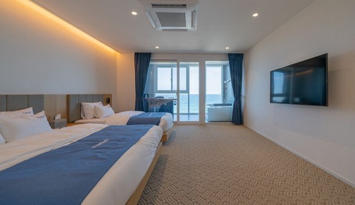 Habitación Deluxe (Pets are not allowed)