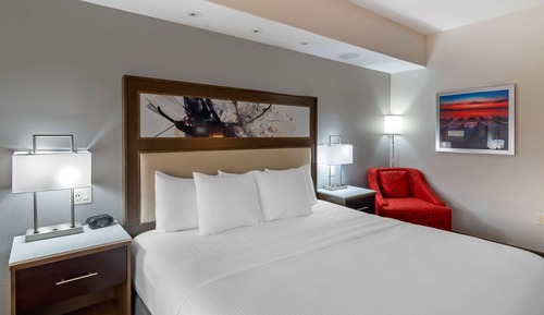 Habitación estándar, 1 cama de matrimonio grande, accesible para personas con discapacidad