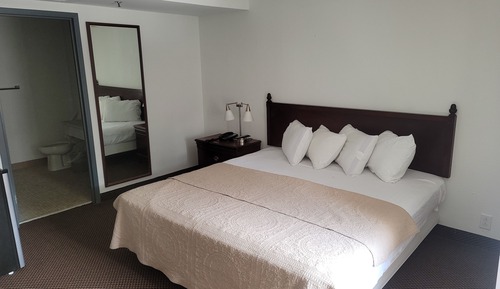 Habitación estándar, 1 cama de matrimonio grande