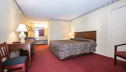 Habitación básica, 1 cama de matrimonio grande
