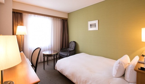 Habitación individual Deluxe, 1 cama individual grande
