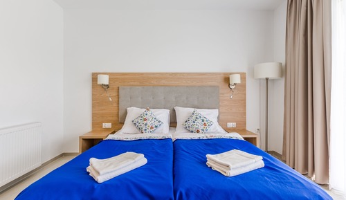 Habitación Deluxe con 1 cama doble o 2 individuales
