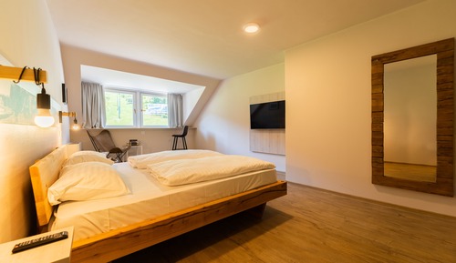 Arena double room with view