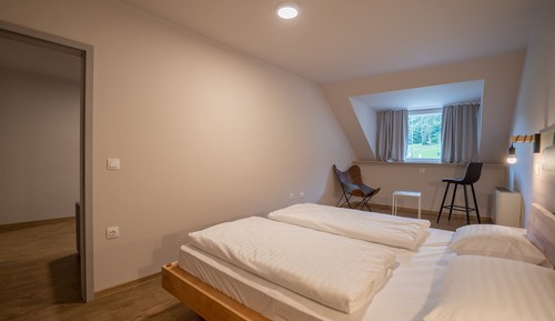 Arena Suite