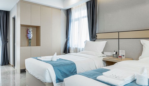 Habitación Deluxe con 2 camas individuales