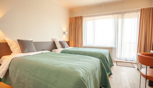 Habitación clásica con 2 camas individuales
