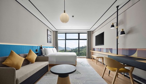Habitación básica, 1 cama de matrimonio grande