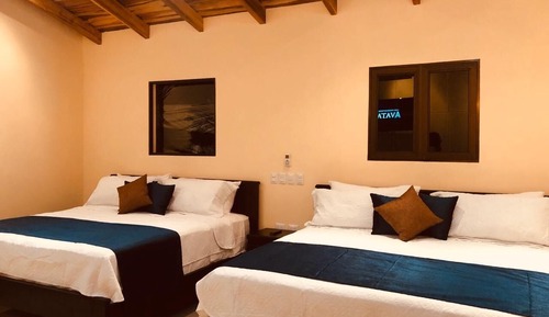 Habitación Premium