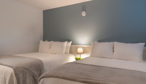 Habitación básica doble, 2 camas dobles
