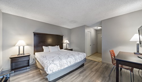 Habitación básica, 1 cama de matrimonio grande