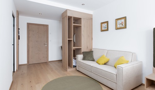 Habitación Premium doble, 1 cama de matrimonio grande con sofá cama, vistas al lago, junto al lago