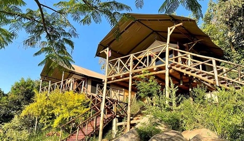 Tienda de lujo