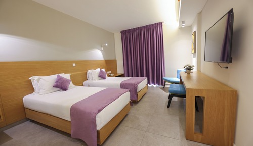 Habitación Deluxe con 1 cama doble o 2 individuales