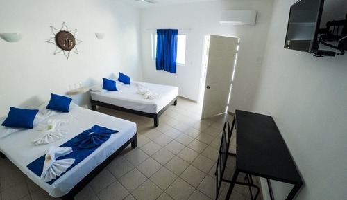 Habitación estándar doble, 2 camas dobles