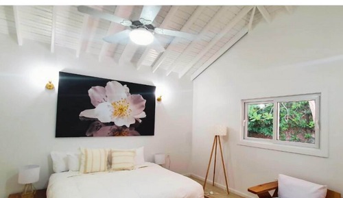 Suite de lujo, 1 cama de matrimonio grande, vistas al jardín, en la zona del jardín