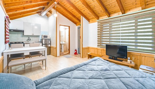 Habitación básica, 1 habitación (101(PET))