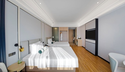 Habitación ejecutiva con 2 camas individuales