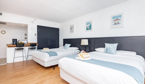Suite estudio Confort