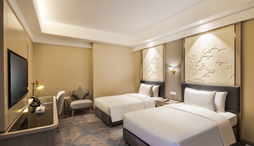 Habitación Deluxe
