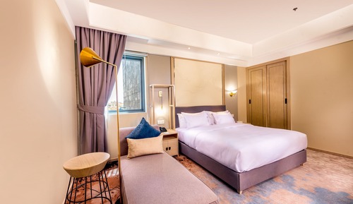 Habitación Deluxe