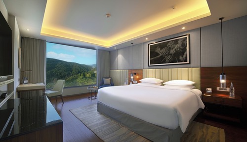 Suite Deluxe, 1 cama de matrimonio grande