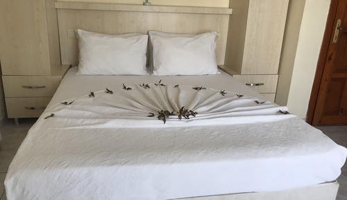 Habitación estándar