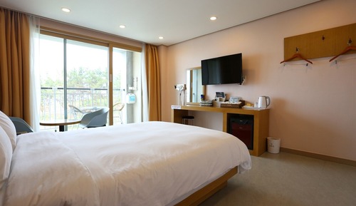Room (Ocean View Double (2 person))