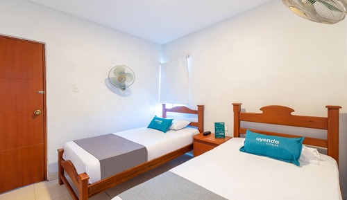 Standard Twin Room